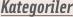 kategoriler