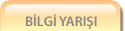 Bilgi Yarışı