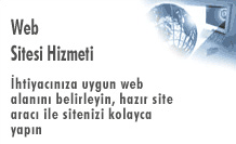 Web Sitesi Hizmetleri